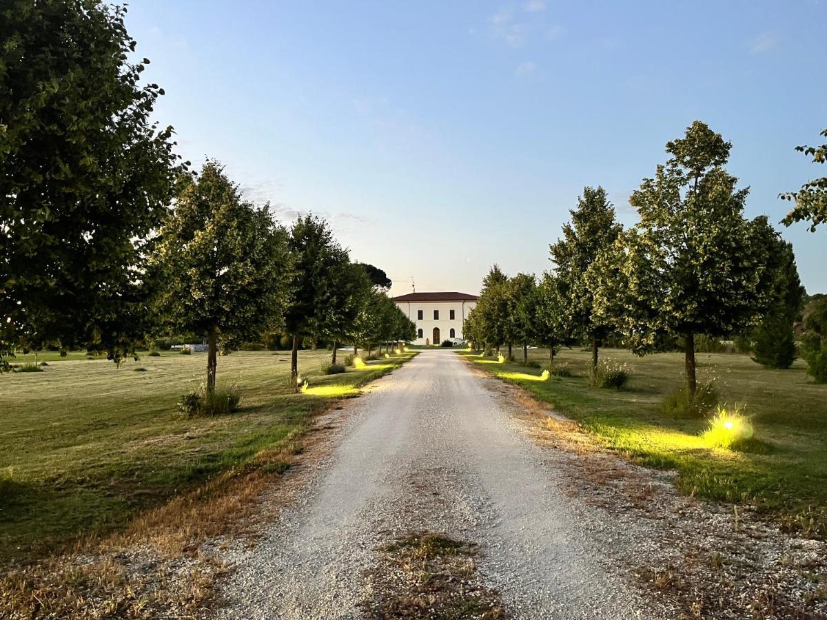 Villa Archi Faenza Εξωτερικό φωτογραφία